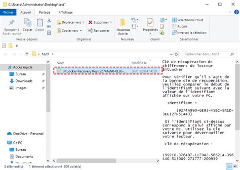 mega-cléderécupération.txt|What Is Mega.